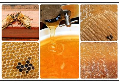 Le miel: choisissez bien!