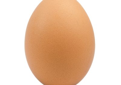 Les œufs bientôt plus « éthiques »