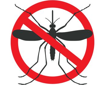 Ils gâchent les soirées : comment lutter contre les moustiques ?